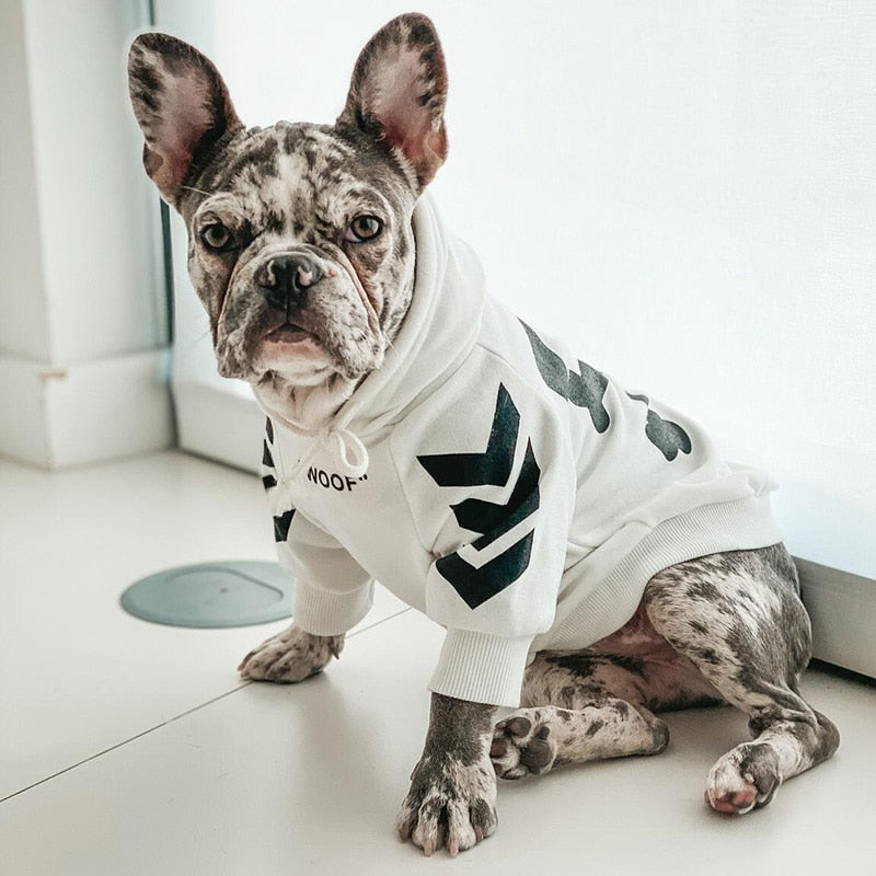 Winter-Hundejacke mit Kapuze