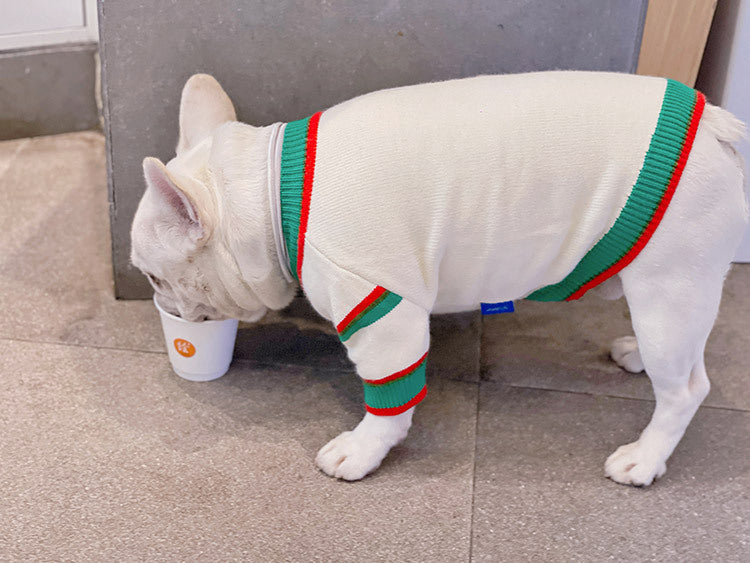 Bichon Schnauzer Winterfell für Katzen & Hunde – Bild 7 | LuxeStyle