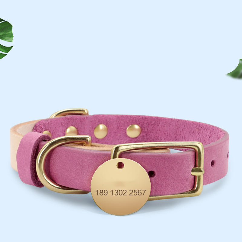 Katzenhalsband – Bild 5 | LuxeStyle