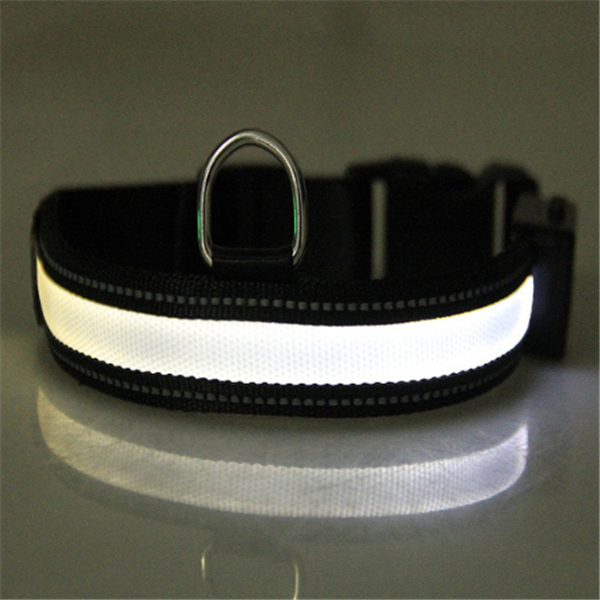 Leuchtendes Hundehalsband mit Solar- und USB-Ladefunktion – Bild 8 | LuxeStyle