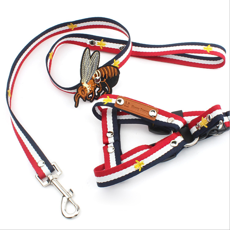 Nylon-Hundehalsband S – Bild 2 | LuxeStyle