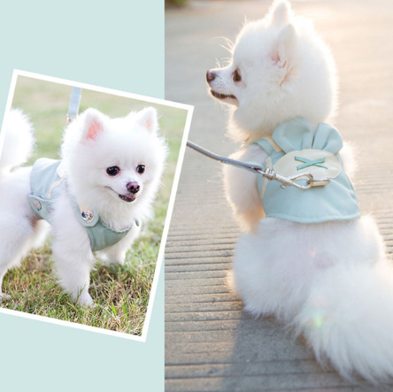 Hundegeschirr-Set für kleine bis mittelgrosse Hunde – Bild 3 | LuxeStyle