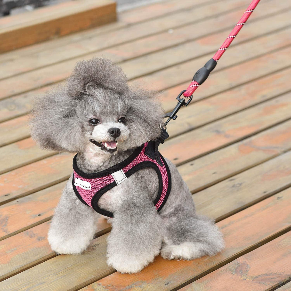 Reflektierender Hundegeschirr aus Nylon – Bild 4 | LuxeStyle