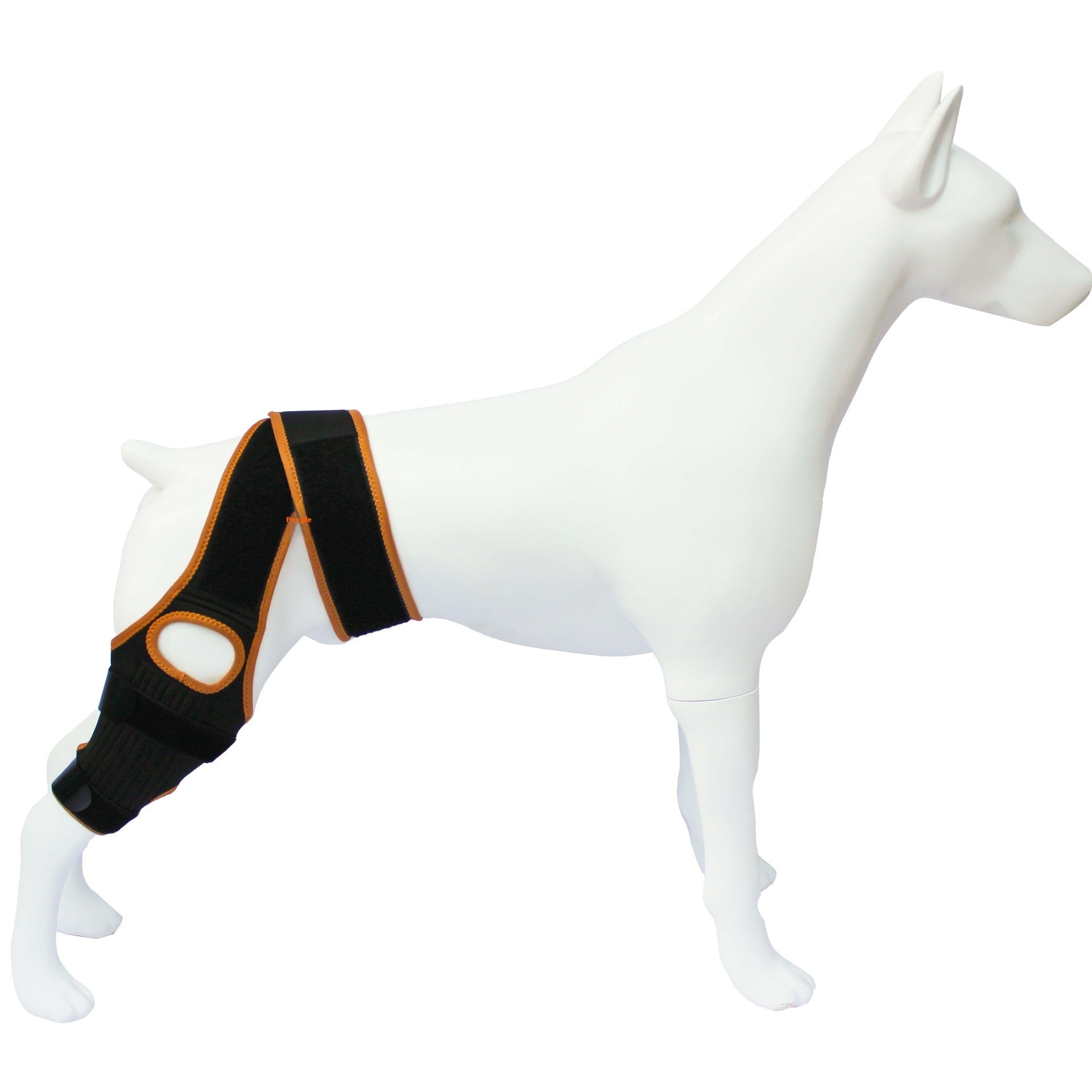 Kniebandage für Hunde