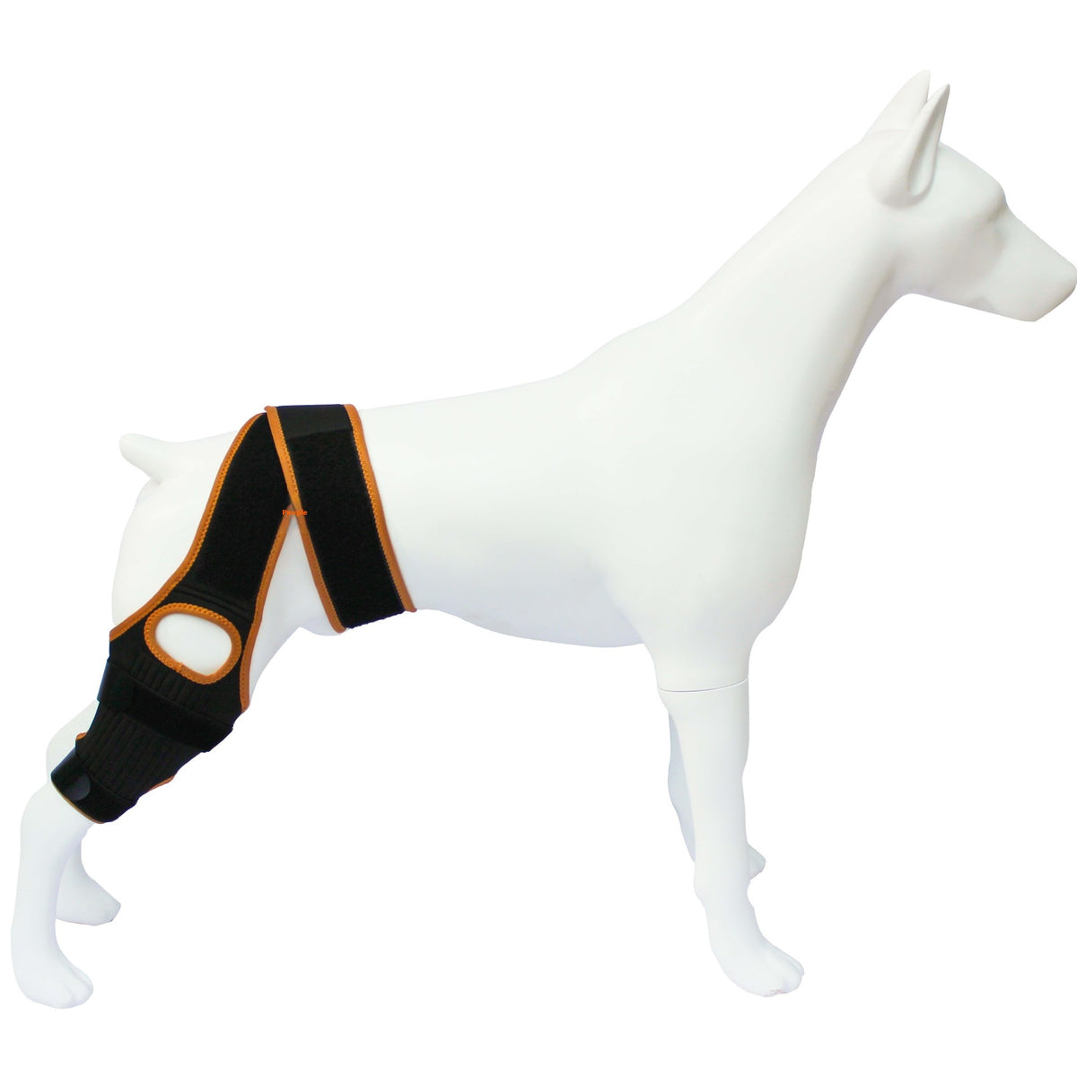 Kniebandage für Hunde – Bild 3 | LuxeStyle