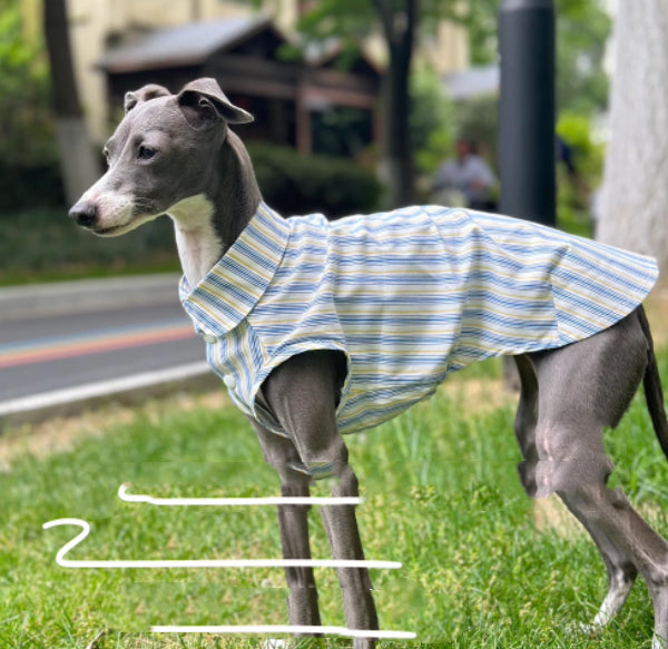 Baumwoll-Shirt für Hunde – Bild 5 | LuxeStyle
