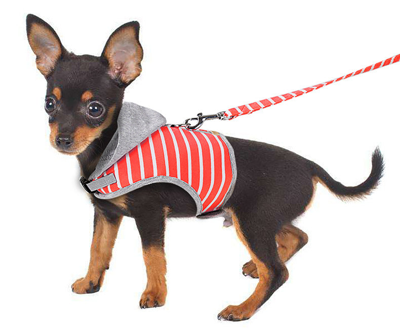 Katzenhalsband mit Kapuzenvest – 2 Grössen – Bild 6 | LuxeStyle