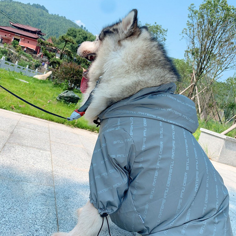 Reflektierende Partnerlook Windjacke für Mensch & Haustier – Bild 1 | LuxeStyle