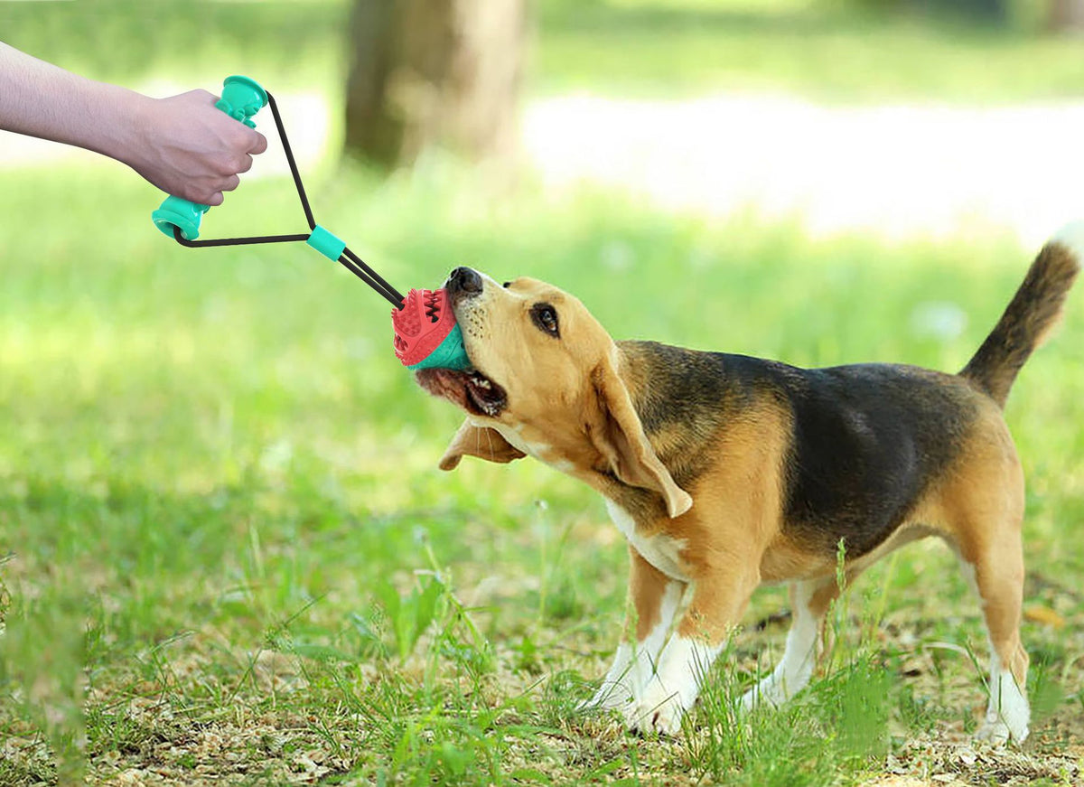 Hundespielzeug – Bild 3 | LuxeStyle