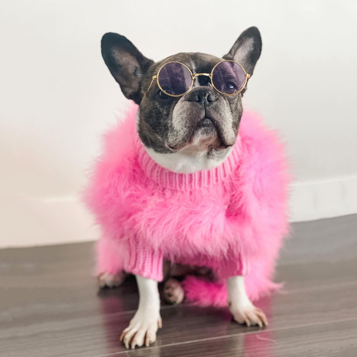 Plüsch Hundepullover einfarbig – Bild 6 | LuxeStyle