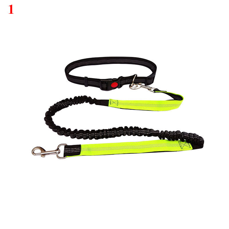 Elastische Laufleine für Hunde – Bild 3 | LuxeStyle