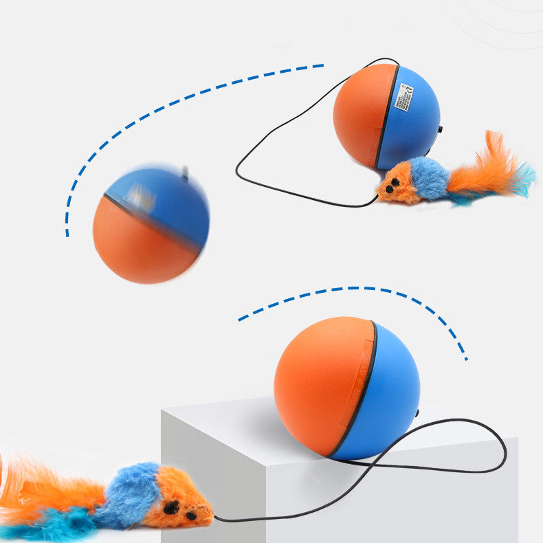 Automatischer Tease Katzen-Spielball