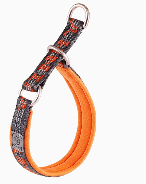 Hundehalsband P-Kette für Spaziergänge – Bild 10 | LuxeStyle