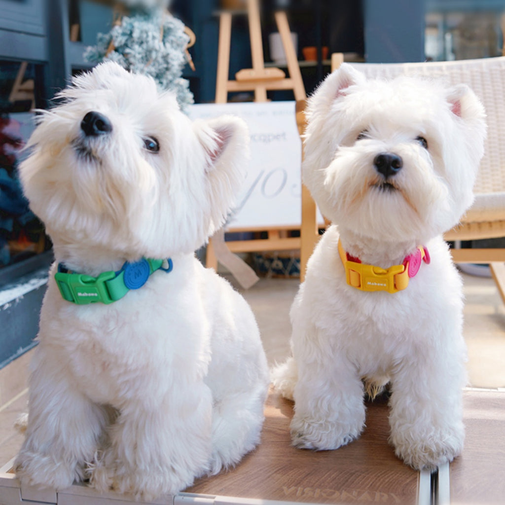Wasserdichtes Nylon-Hundehalsband mit Leine – Bild 8 | LuxeStyle
