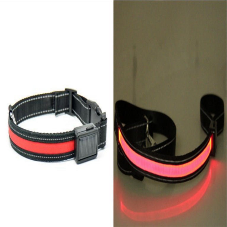 Leuchtendes Hundehalsband mit Solar- und USB-Ladefunktion – Bild 20 | LuxeStyle
