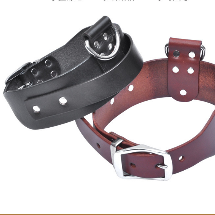 Verstellbares Hundehalsband für mittlere bis grosse Hunde | LuxeStyle
