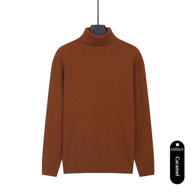 Herren Rollkragenpullover aus Strick