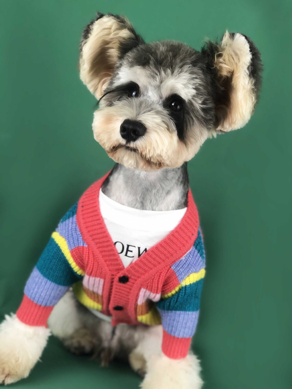 Hund Regenbogen Streifen Cardigan – Bild 5 | LuxeStyle