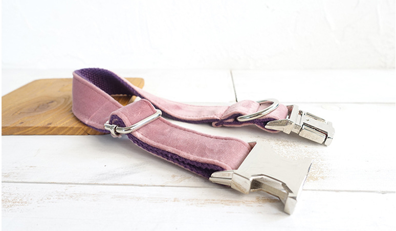 Halsband für Hunde und andere Haustiere – Bild 3 | LuxeStyle