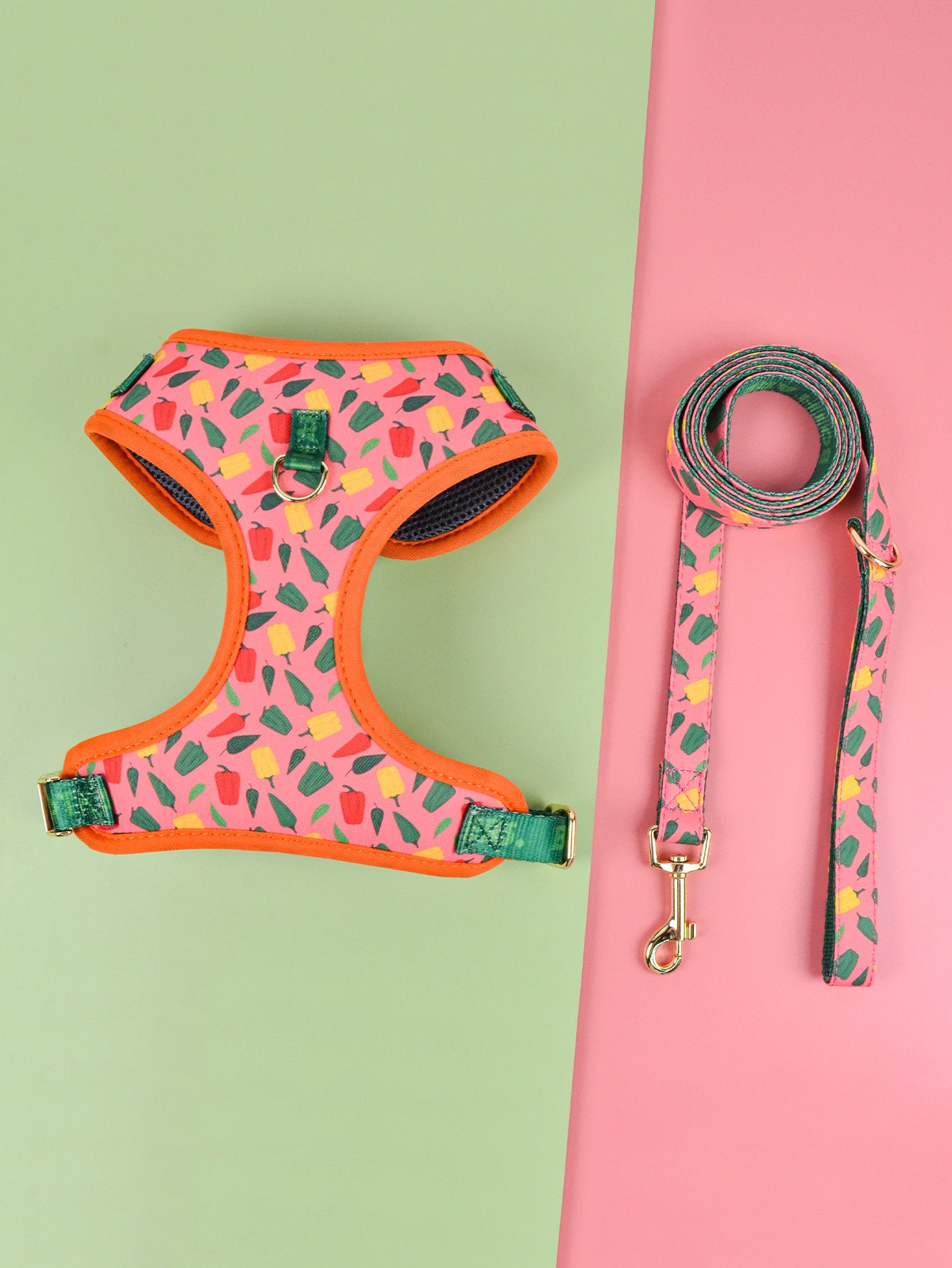 Halsband mit Traktionsgurt für Hunde