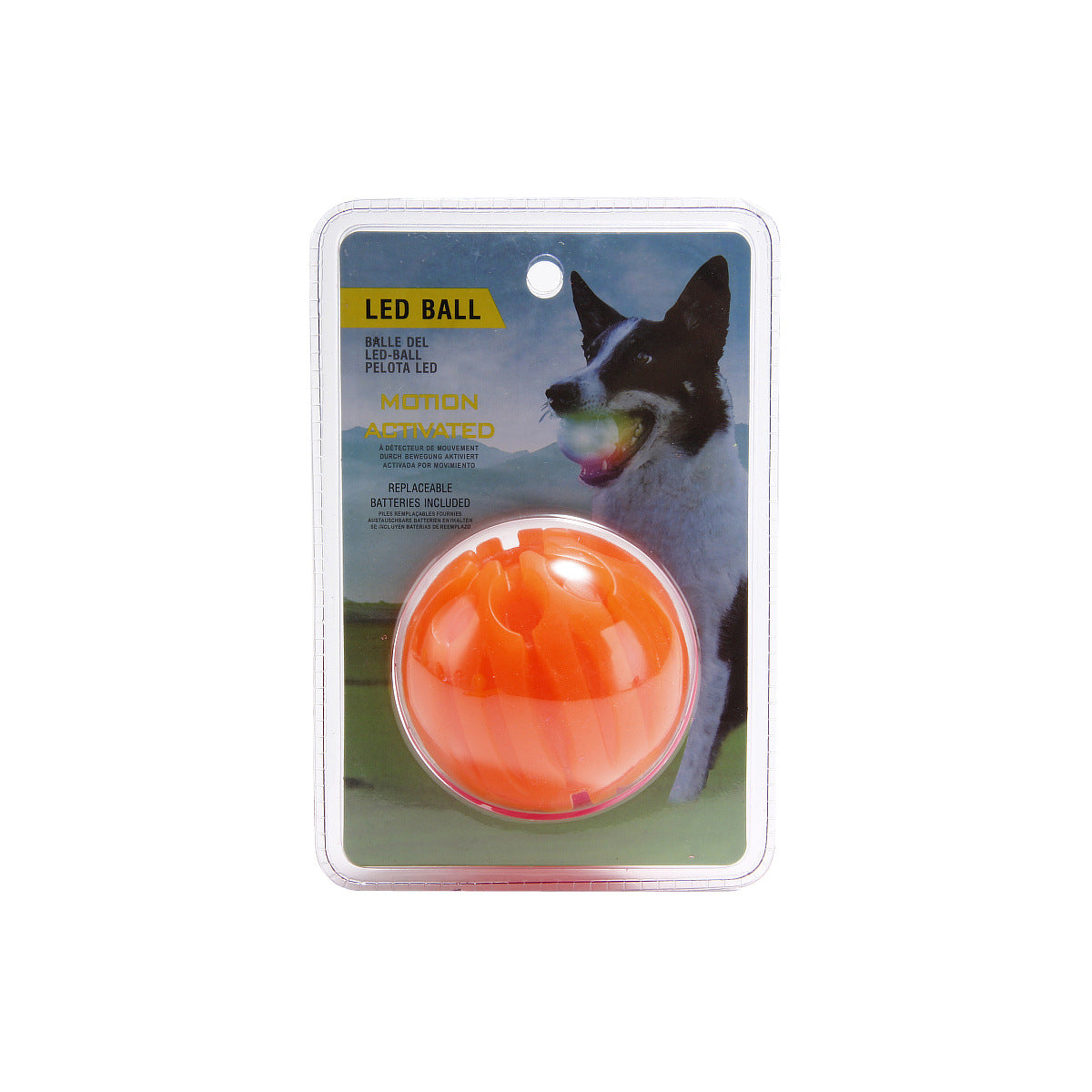 Leuchtender Beissball für Hunde – Bild 3 | LuxeStyle