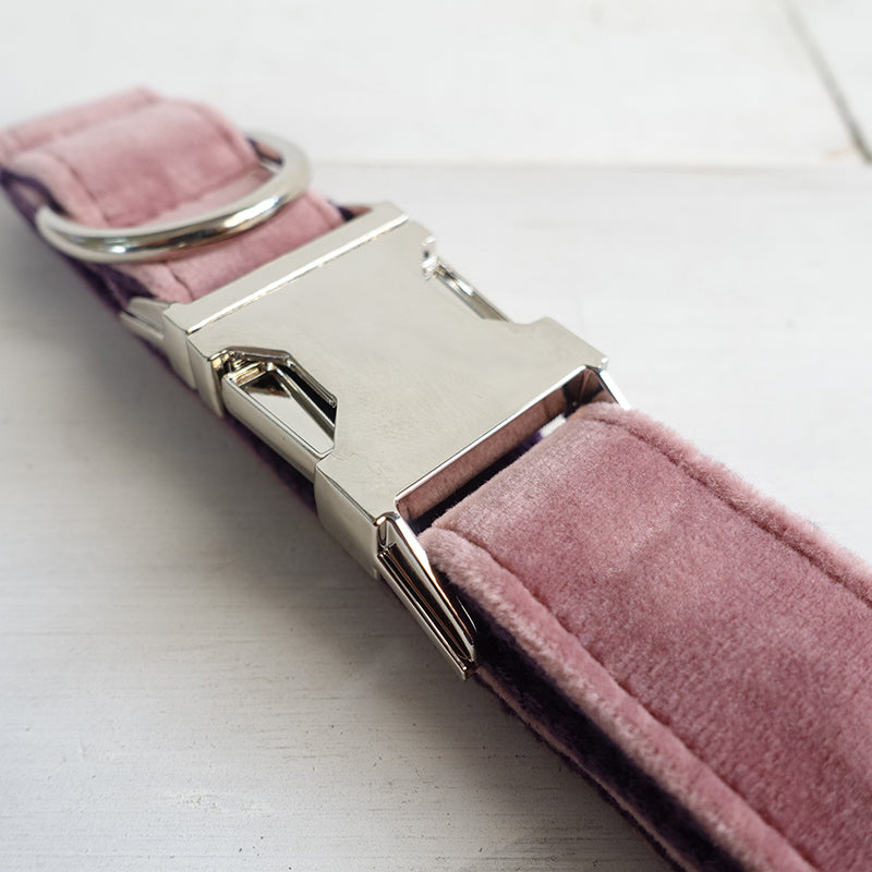 Halsband für Hunde (Pink-Violett) – Bild 2 | LuxeStyle