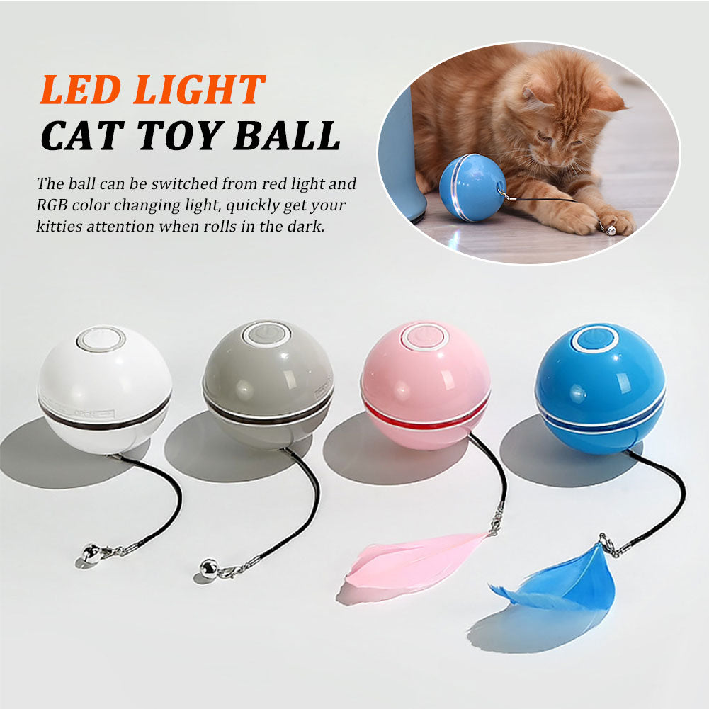 Farbiges Katzenspiel mit LED-Licht – Bild 5 | LuxeStyle