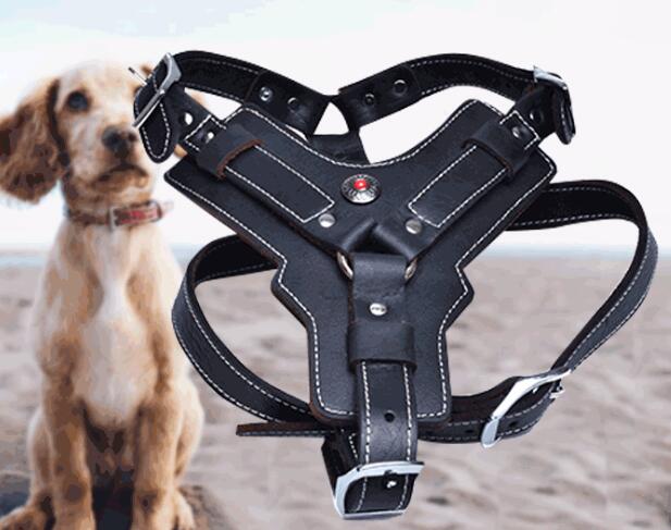 Hundegeschirr aus echtem Leder | LuxeStyle
