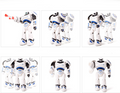 Mech Warrior Roboter mit Fernbedienung