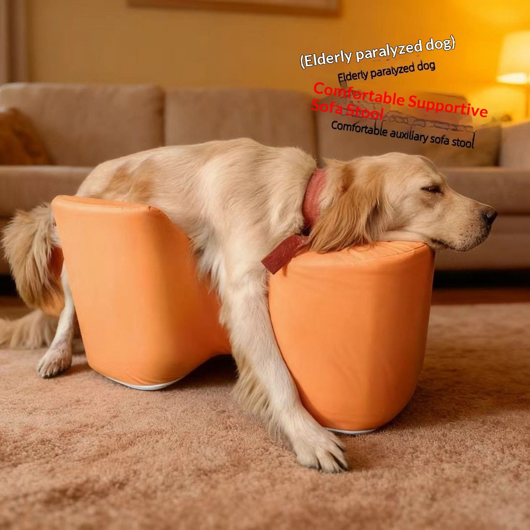 Reha-Sofa-Kissen für gelähmte Hunde
