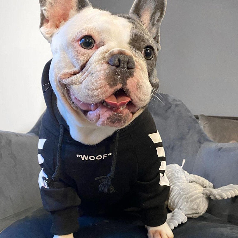 Winter-Hundejacke mit Kapuze