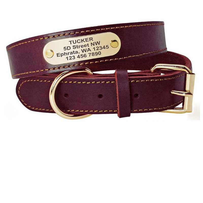 Personalisiertes Hundehalsband mit ID-Tag – Bild 6 | LuxeStyle