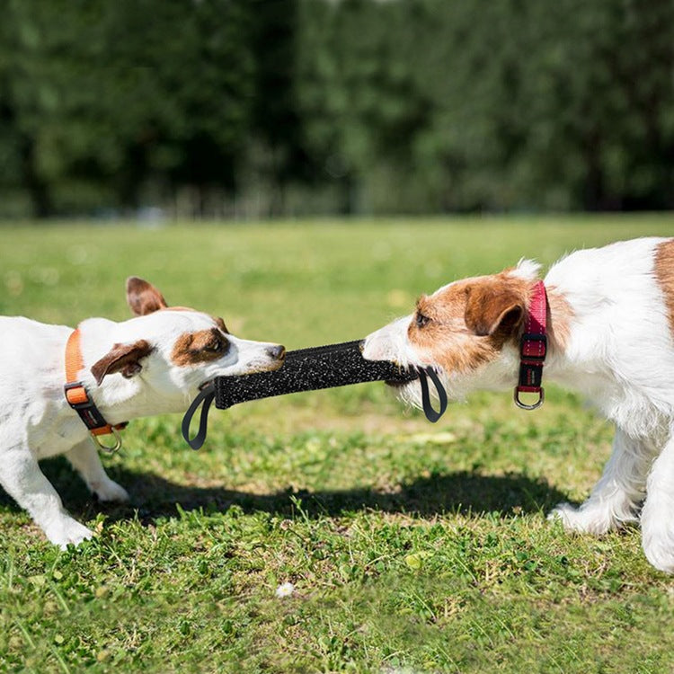 Hund Beisswurst aus Kenaf – Bild 3 | LuxeStyle