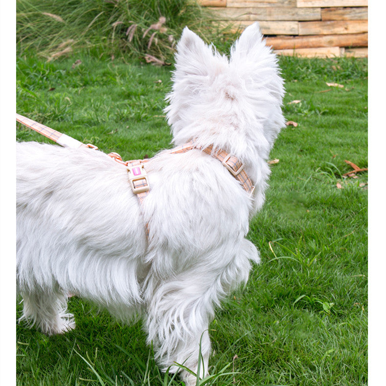 Hundegeschirr, Halsband oder Leine im Gittermuster – Bild 3 | LuxeStyle