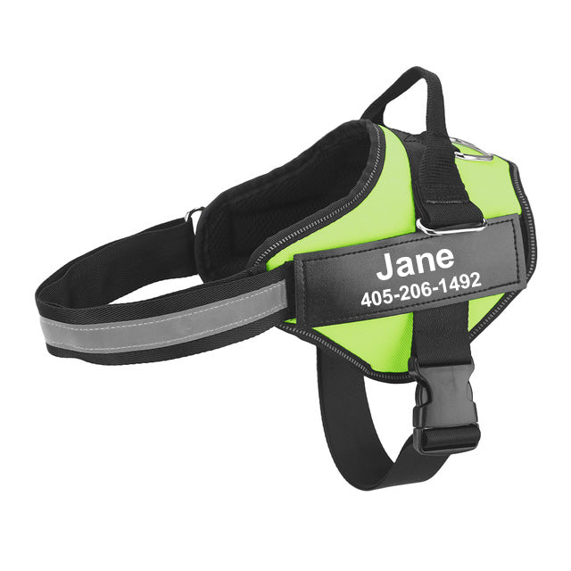 Mehrfarbiger Hundehalsband mit Zugseil – Bild 4 | LuxeStyle