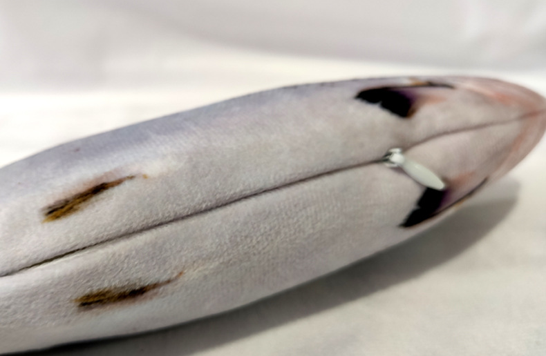 Elektrischer Springfisch für Katzen | LuxeStyle