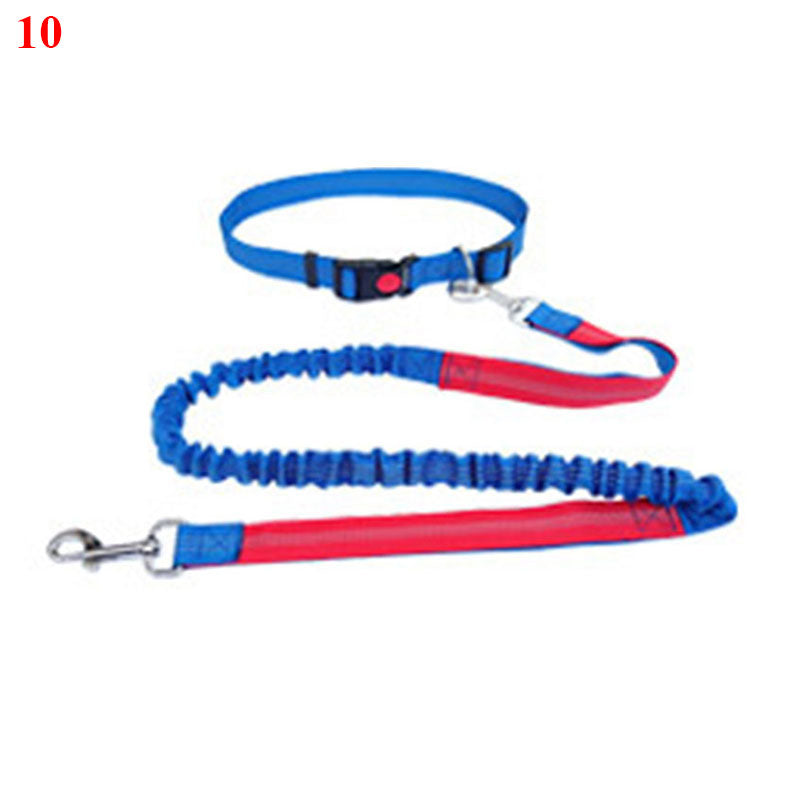 Elastische Laufleine für Hunde – Bild 14 | LuxeStyle