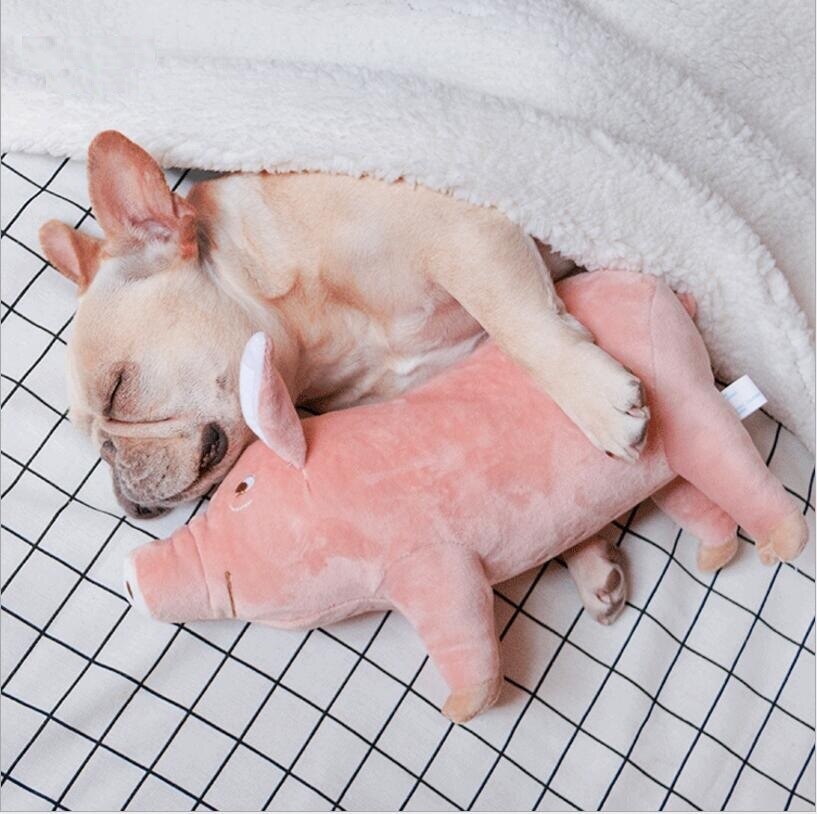 Plüsch-Schwein für ruhige Hunde-Nächte – Bild 1 | LuxeStyle