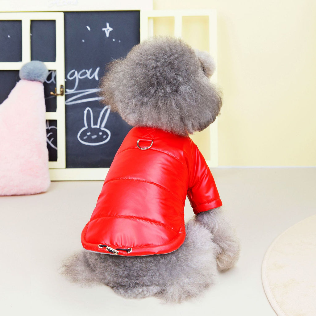 Teddy Hundejacke wasserdicht
