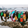 Hunde Halsband S | LuxeStyle
