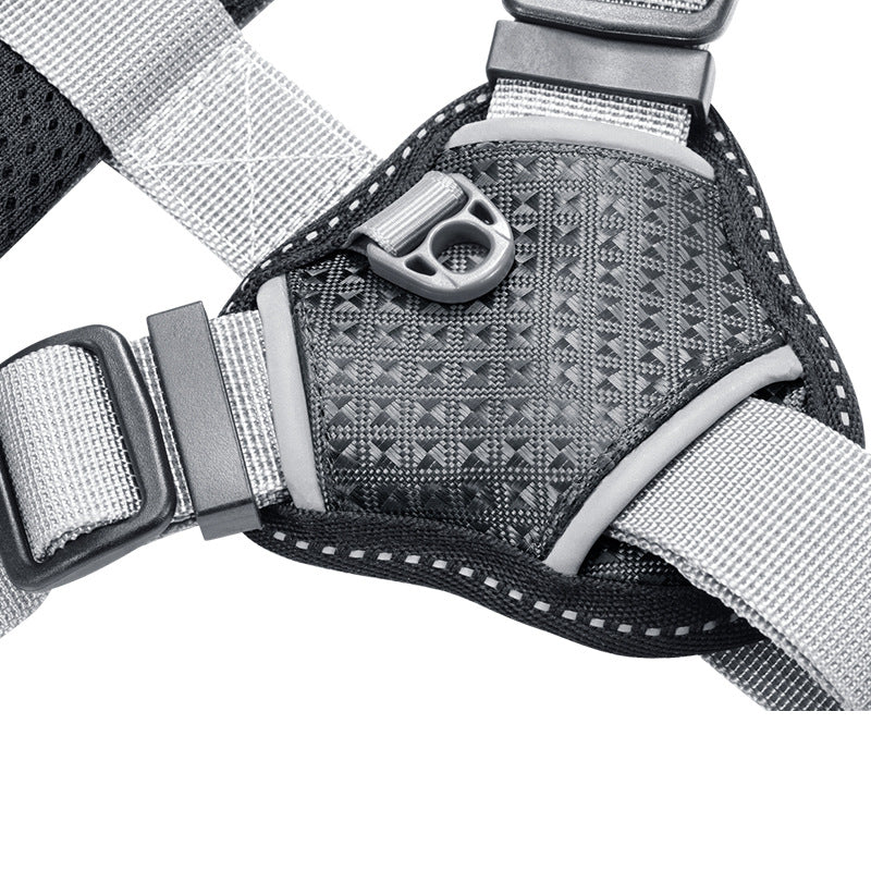 Hundegeschirr ohne Zugleine, Polyester | LuxeStyle