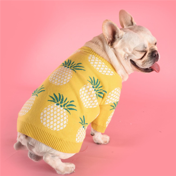 Ananaspullover aus Baumwolle – Bild 3 | LuxeStyle