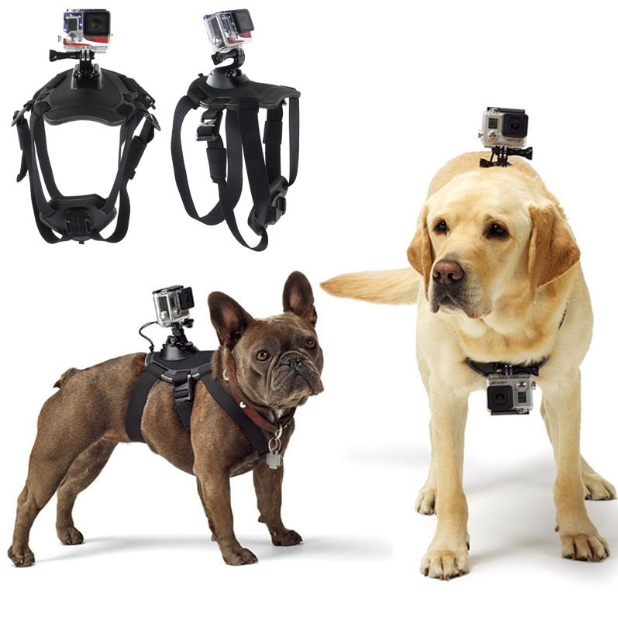 Hundegeschirr mit Gurt – Bild 2 | LuxeStyle