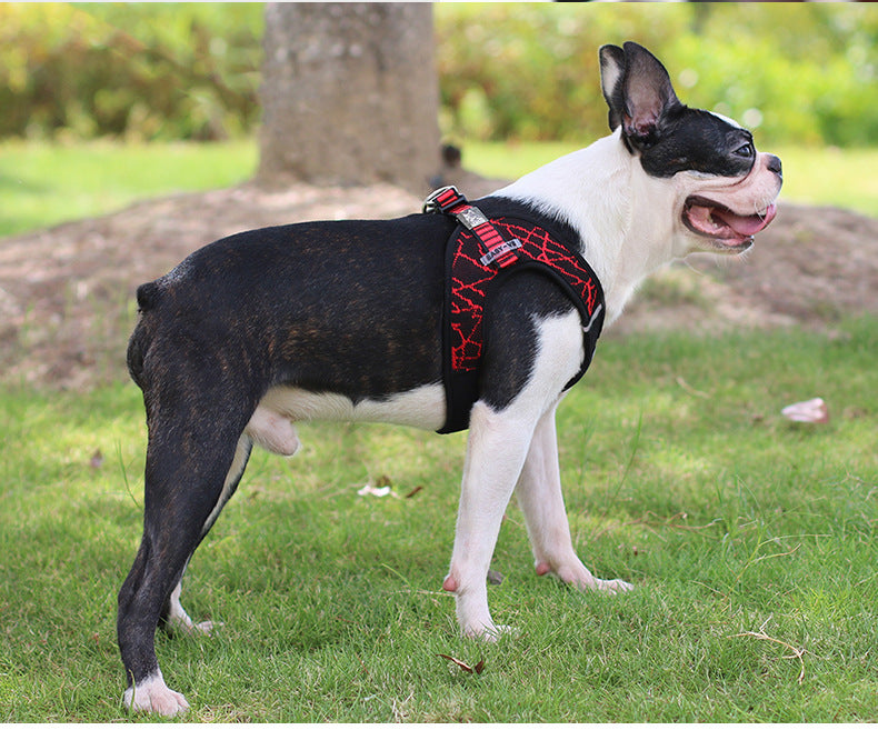 Hundeharnisch mit Laufgurt aus gefliertem Stoff – Bild 2 | LuxeStyle