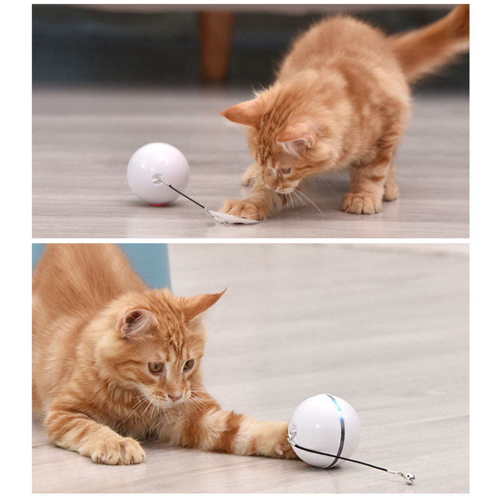 Farbiges Katzenspiel mit LED-Licht – Bild 10 | LuxeStyle