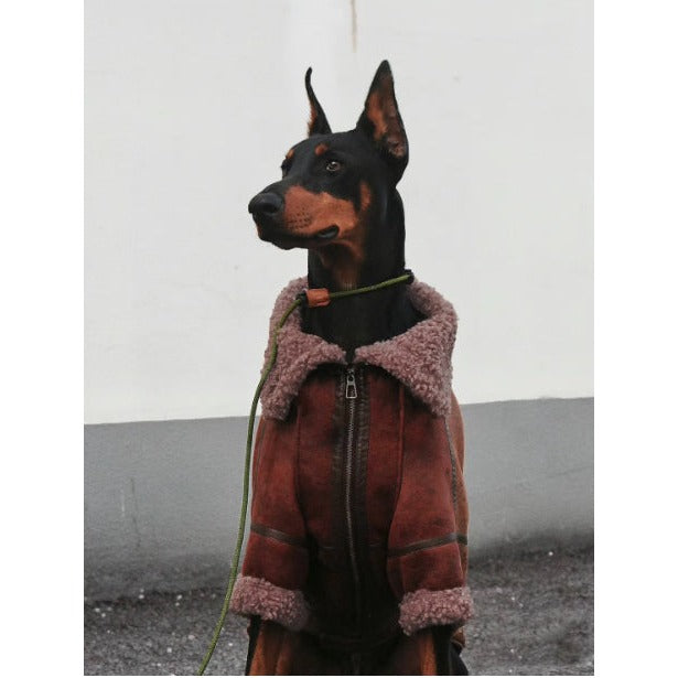 Velours-Wintermantel für grosse Hunde – Bild 1 | LuxeStyle