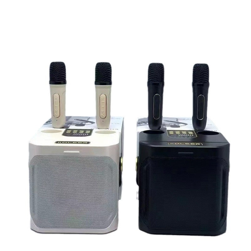 Duales Stereo Karaoke-System