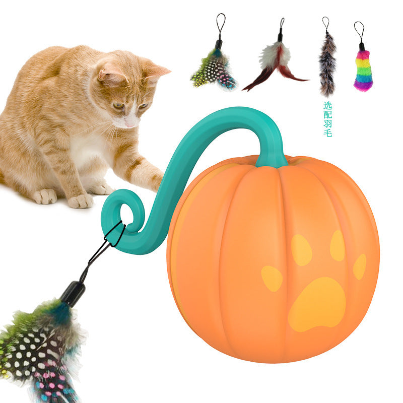 Leuchtender Spielball für Katzen