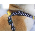 ISPET Hundegeschirr – Bild 1 | LuxeStyle