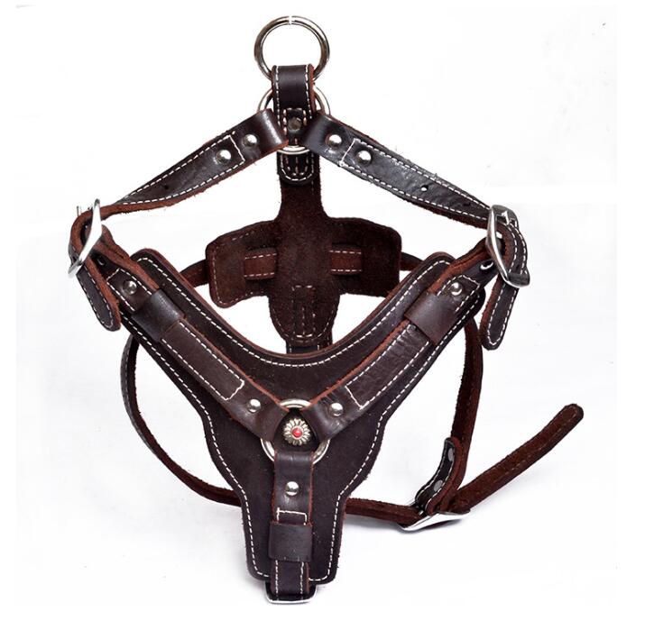 Hundegeschirr aus echtem Leder – Bild 3 | LuxeStyle